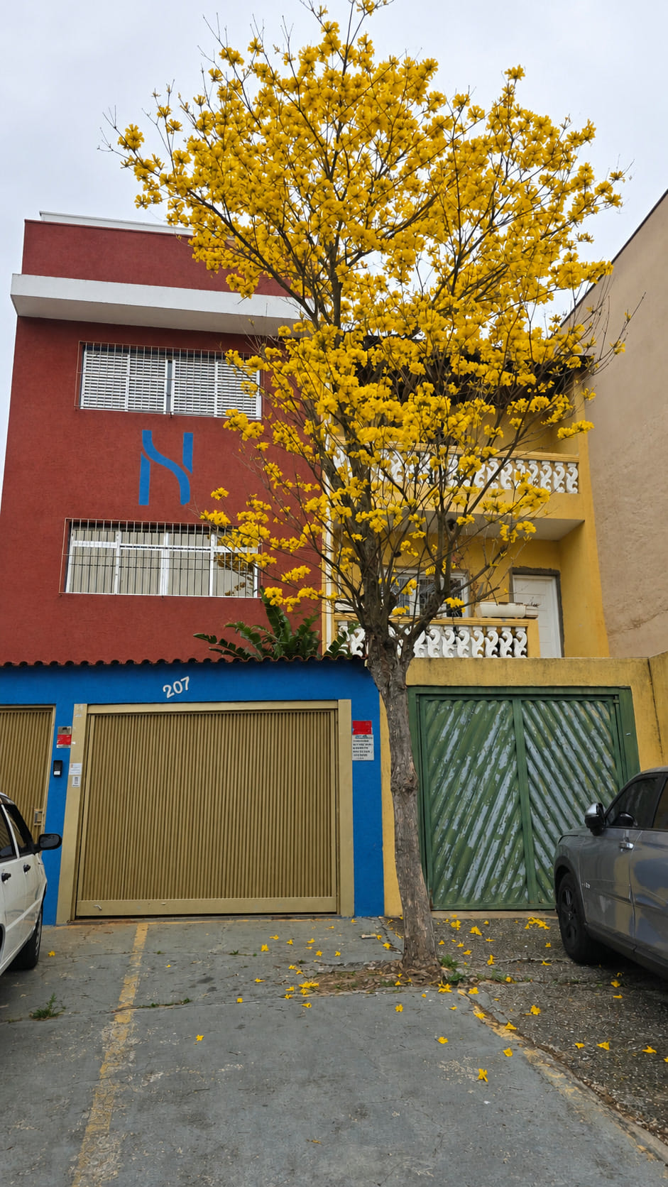 Fachada do escritório da Hagio em Diadema, com o símbolo da marca pintado em azul na parede e o número 207 sobre a base azul.
